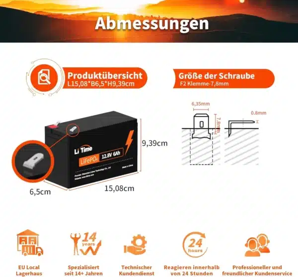 litime 12V 6AH-2